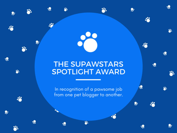 supawstars-spotlight-pet-blogger-award
